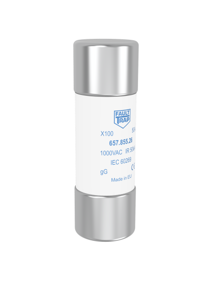 Fuse 1000VAC gG 8A 22x65mm