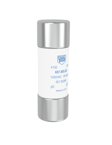 Fuse 1000VAC gG 10A 22x65mm