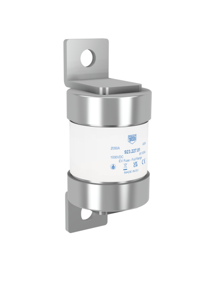 Fuse 1000VDC EV-full range 300A 50x123mm surface mount, fixing centres 100mm